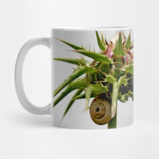 Thistle bud and snail Mug